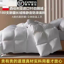 进口羽绒被95白鹅绒冬被加厚保暖单双人鹅绒被芯源头工厂