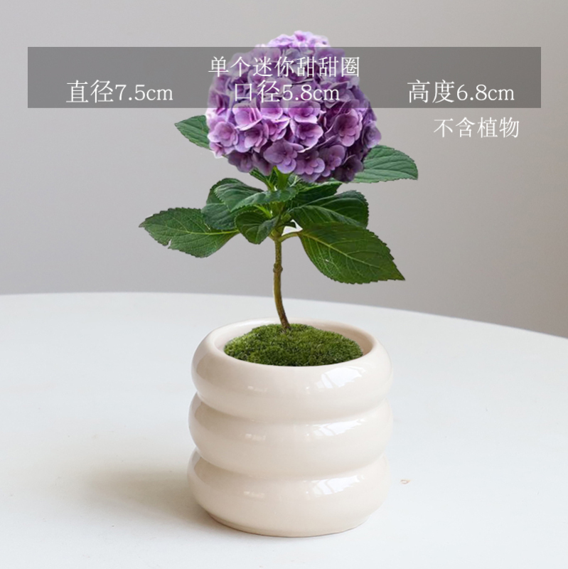 简约陶瓷花盆家用北欧ins奶油风轻奢蝴蝶兰梦香兰多肉绿植盆景盆|undefined