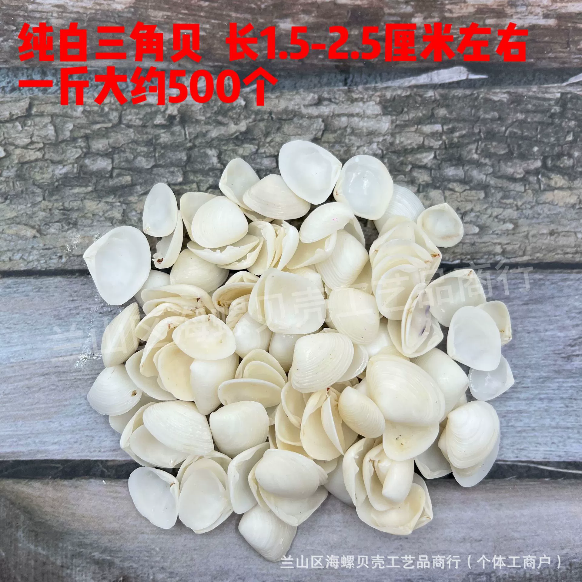 Shell Natural Shell Conch Stars Drifting Bottle Shell Crafts Wholesale Diy Handmade Shell Materials