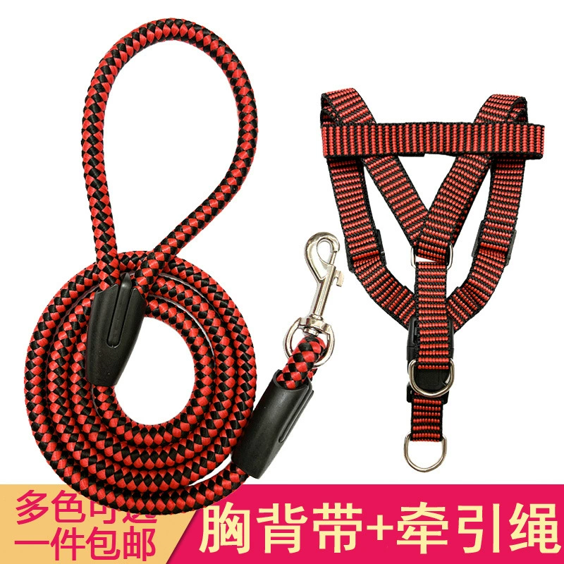 Собака поводок золотисто-собачья веревка Тедди выгул собака большая собака средняя собака ошейник маленькая собака домашняя собака цепь