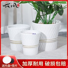 �մɻ��躆�s�p�ݸ�2025�¿�������ԷNֲ�������B����������