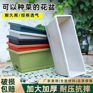 �Nֲ����ˮ�N�����L�������ϻ����̨��ͥ�۶������Gֲ�N��