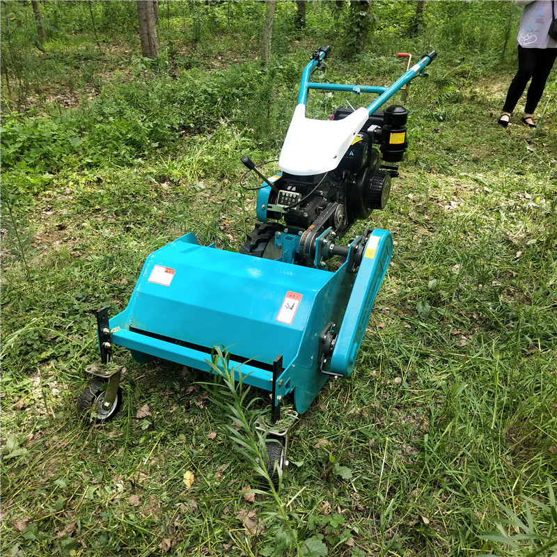 小型碎草还田机 地瓜红薯杀秧机 手推式玉米杆粉碎割草除草机