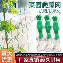 �W�z�ϷNֲ�㶹���پW���������W�S��ɽș�r�ð����ֲ����Ͽ��