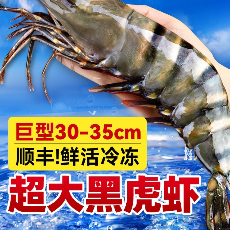黑虎虾新鲜大虾老虎虾鲜活冷冻基围虾特大速冻海鲜水产年货虾