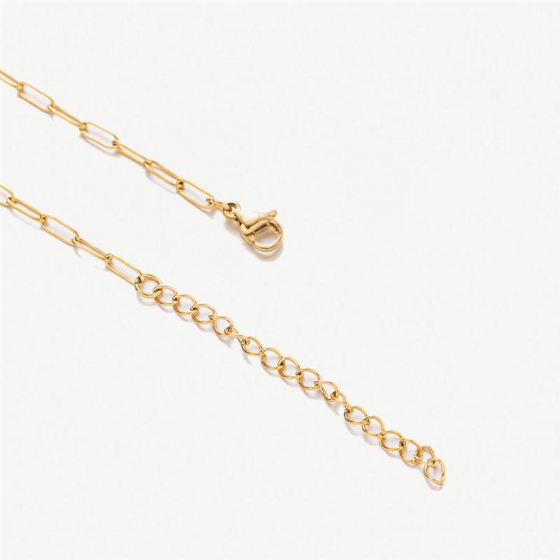 Women's Gender Vacation, Classic Style Style PVD Coated Real Gold Plated Oval Titanium Steel Vacation Classic Style Waterproof Non Tarnish Titanium Steel Pendant Necklace
