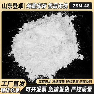 �F؛���lZSM-48�۠���ӺY�״��D�������L���N�Ӛ䮐�����߻���