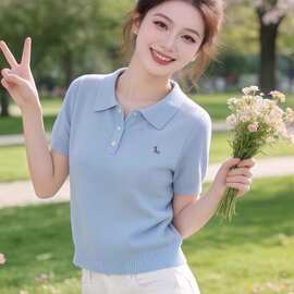 蓝色气质减龄百搭polo领针织衫女装2026夏季新款漂亮出片上衣其他