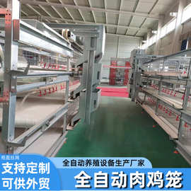全自框架肉鸡笼 三层立式肉鸡笼 框架肉鸡笼全自动化肉鸡养殖设备