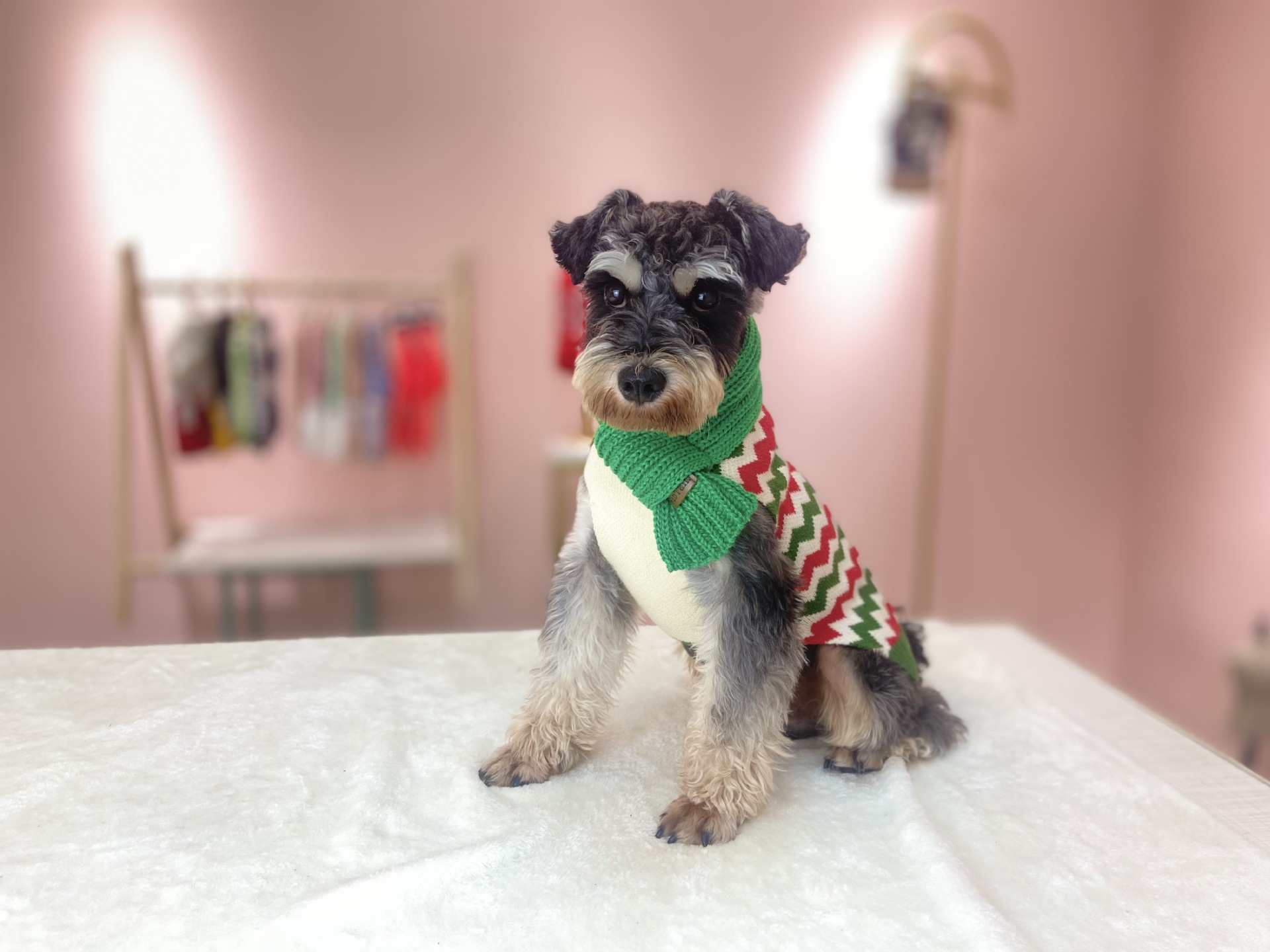 ﱣůΧڲʳ֯ΧιΧװƷ