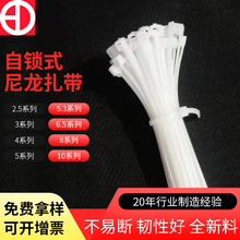 自锁式塑料尼龙扎带束线带 3*100 4*200  5*300 扎带大量批发