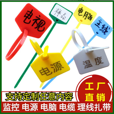 壹次性塑料封條網絡園林電視釣魚標監控標簽標識標記尼龍紮帶吊牌