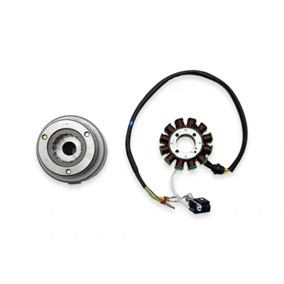 Thieves Boserkevis Zongshen Cbs300/Nb300: Motorcycle engine and accessories - 12th-level-coil-magnet