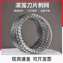刀片刺绳防护网不锈钢刺丝滚笼刺网带刺铁丝防盗防爬刺围墙防爬网