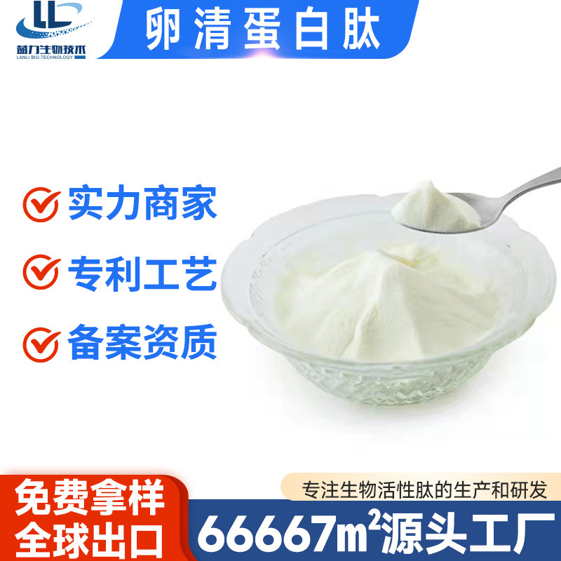 Albumin Peptide 99% Pebble Protein Peptide Powder Small Molecule Peptide Surgery Postoperative Recovery Nutritional Supplement Nourishing High Protein