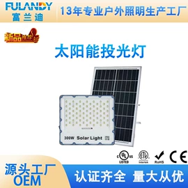 投光灯;室外壁灯;路灯