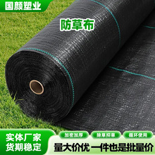 黑色防草布跨境农用除草果园防草地布园艺盖草布透水保湿园艺地布