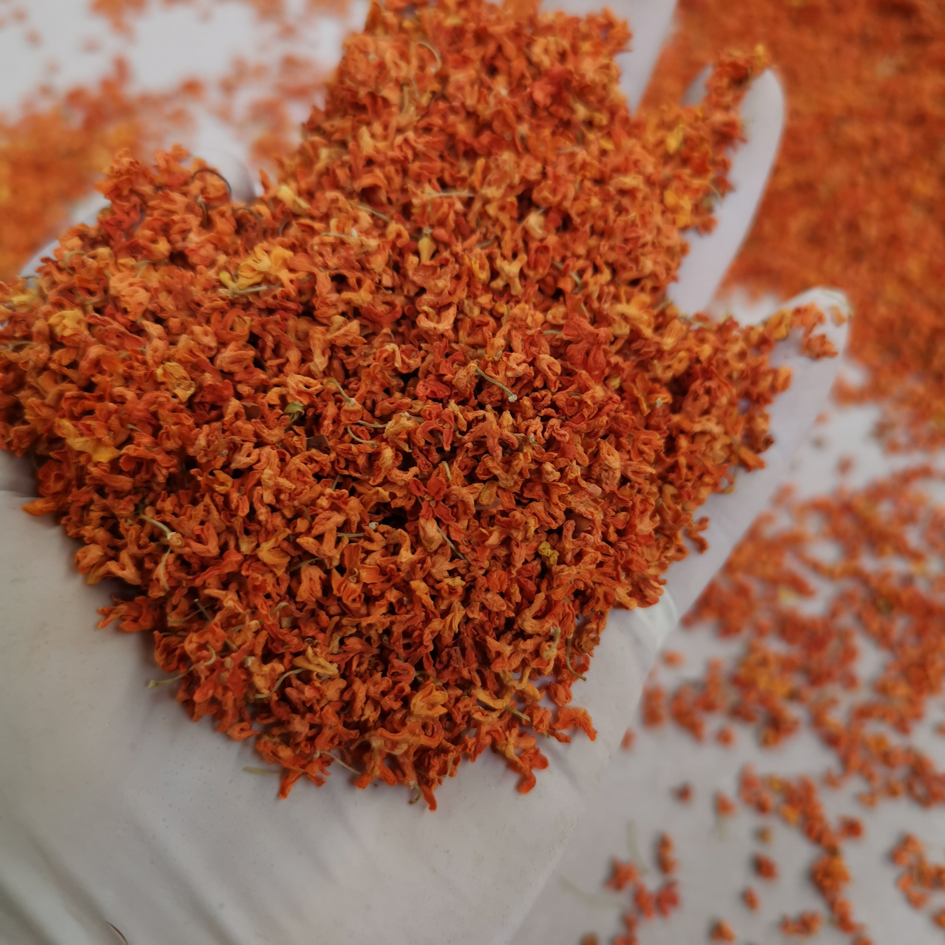 广西桂林丹桂红茶养生茶桂花茶桂花干2025新货丹桂花茶叶