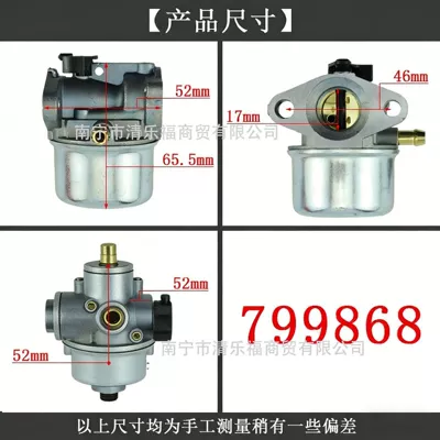 Garden Carburetor 799868 Motorcycle Carburetor