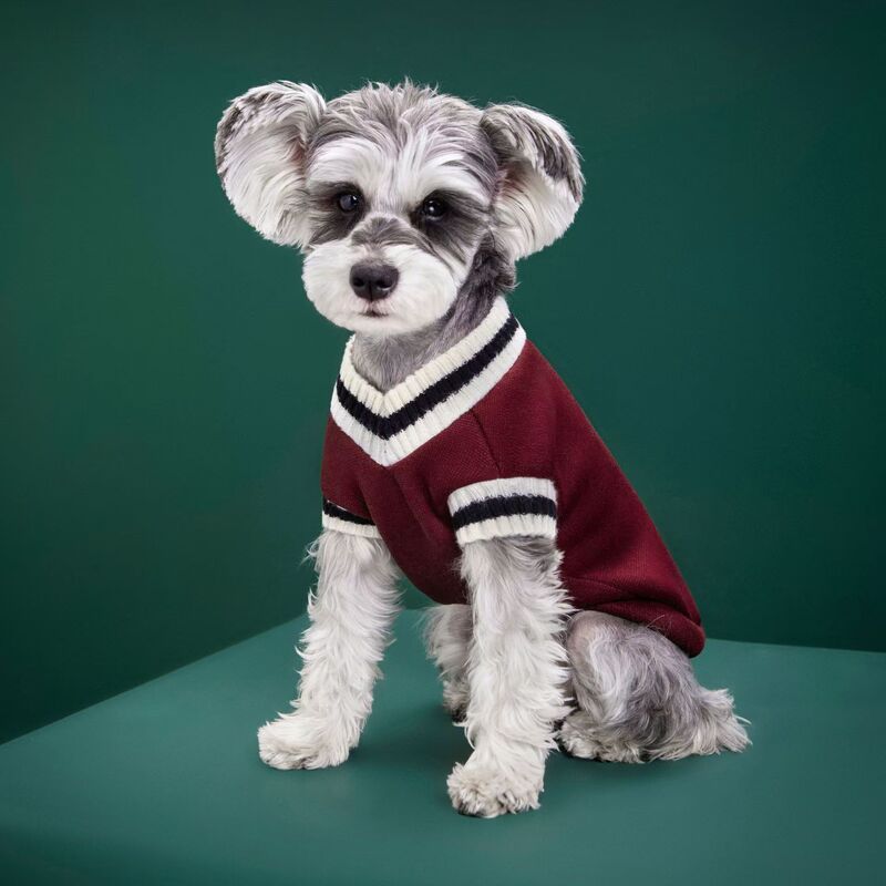 Dog clothes factory wholesale knitted sweater V-neck fashion autumn and winter vest pet supplies dog cat clothing