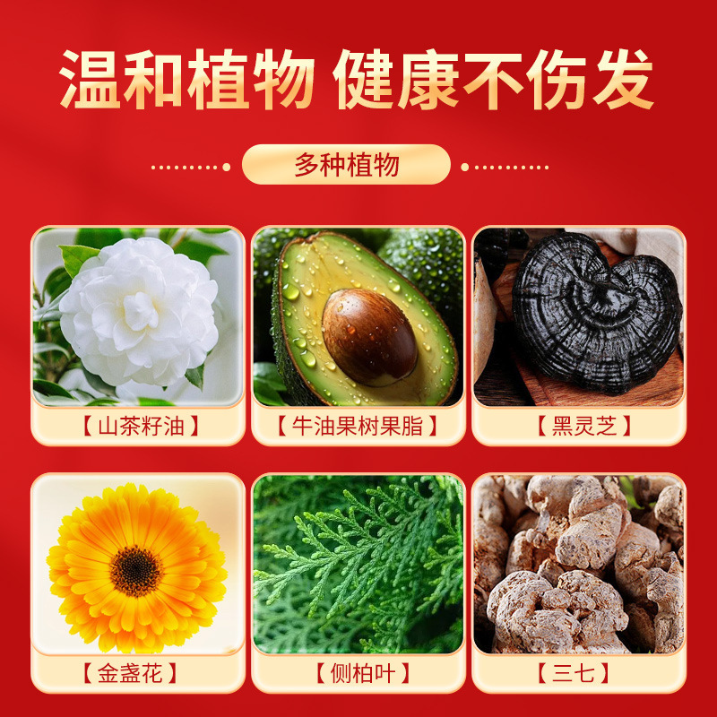 センテニアルビアンの染毛コーム、自宅で植物ベースの染毛クリーム、ワンプレス、ワンコーム、白髪をカバー、クイックカラーリング|undefined