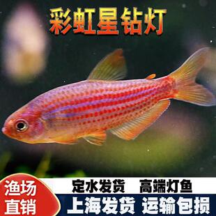 �ʺ���荟��~�^�p�~�ʺ���荵����ݸ��~����С���~�Ꭷ�^�p�~���w