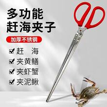黄鳝夹鳝鱼夹子泥鳅螃蟹防滑抓捉龙虾专用赶海神器工具火钳黄鳝夹