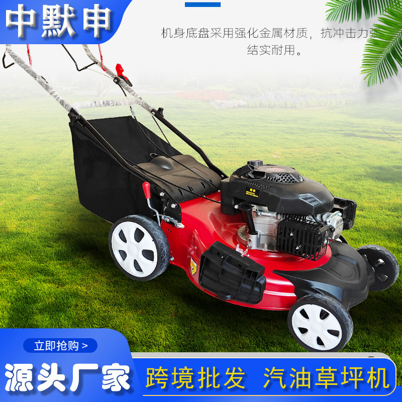 厂家跨境批发手推汽油草坪机 社区家用绿化修剪机 20寸自走草坪机