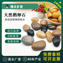 �`�����l��Ȼ�껨ʯ �����Z��ʯ �@�־G��ͥԺ��O�~�׾��^ʯ�S��