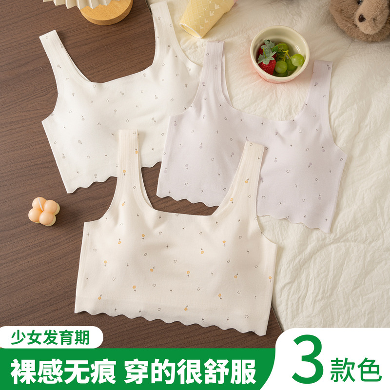 Seamless Shaping Anti-Hunchback Underwear for Cute Teenage Girls in Their Developmental Stage, Thin Bra for Middle and High School Students