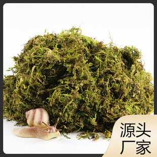 �ۉ|���}����΁ţ��Ҭ��̦�\������B���x����΁ţ�I�B�������