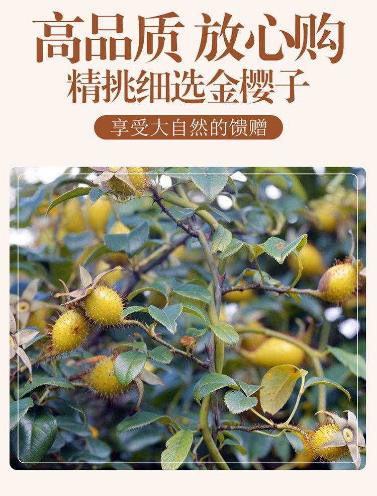Dried Cherokee Rose Fruit Jin Ying Zi 500g Sliced Rosa laevigata for Herbal Tea and Wine Infusion key features