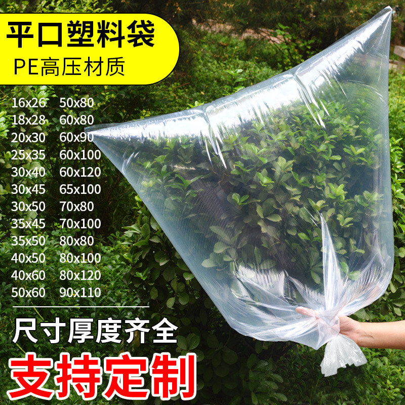 晶知小号pe平口袋塑料袋透明包装袋子加厚高压薄膜袋防潮食品袋内