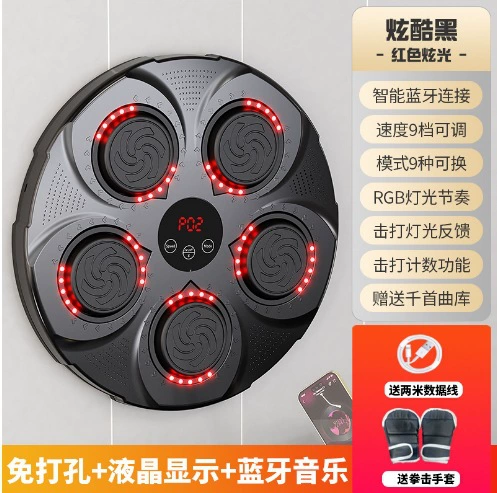 Electronic boxing equipment for children and adults for training