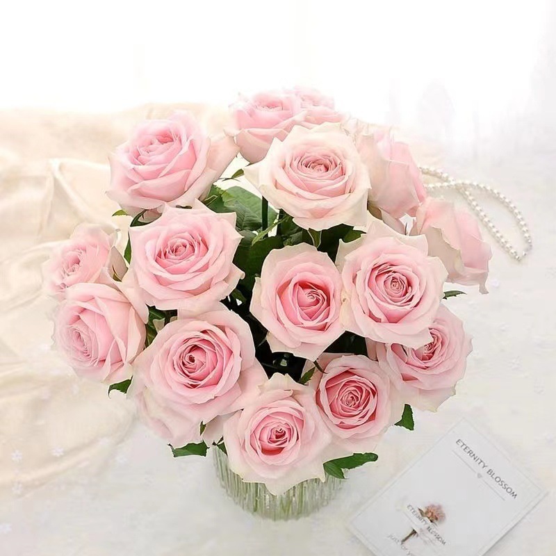 3d1b64b1-62ea-4bbb-95a1-cd09c4d64020.jpe