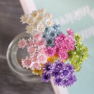 �M���ձ�����r�@С�ǻ�/СϞ��/100���^������diy����仨