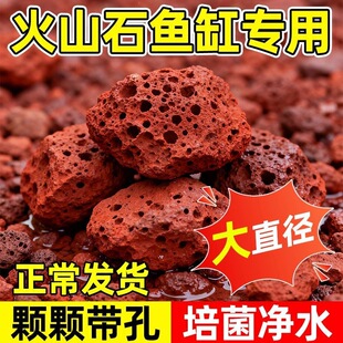 ��ɽʯ��ֲ�w��ֹ���������x��ˮ���^�V�|�������s�|��ˮ����ˮ�|
