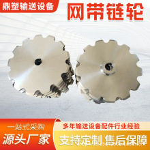 输送链轮厂家直营各种规格材质工业机械传动单双排输送机传动轮