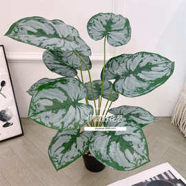 仿真植物12头过胶大叶子 家居绿植装饰植物墙插件配件工程绿化装