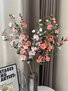 ɽ�軨���滨�ѻ�����仨�Ĺ��̻�ܛ�b���Ļ��@���쾰��������