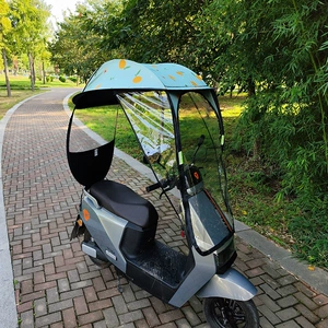 Yan Qanadlı Elektrikli Avtomobil Tentası, Günlük və Yağışdan Qoruyucu