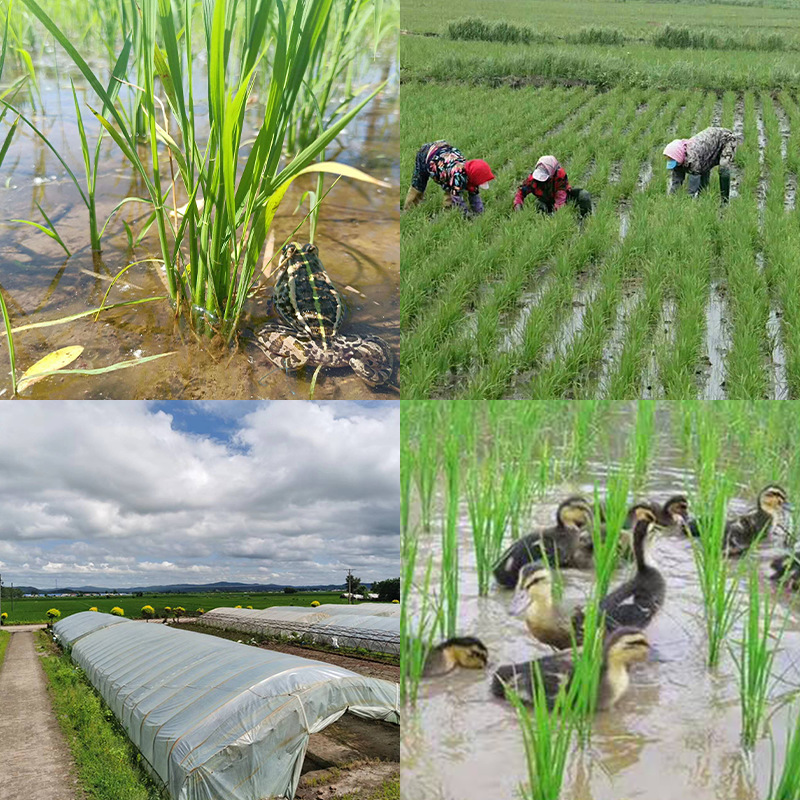 企业微信截图_16571886699923