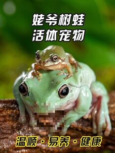 �{�Ѡ��������ܻ��w�����������ܾG�Ѡ�����ţ�������x�ɗ�������