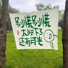 ����¶ӪҰ�ʹ������ֹҲ�Ӫ��װ�η�Χ��Ȥζ���鱳������ߴ粼
