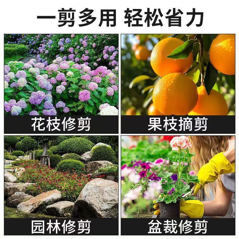 微信图片_20250720133655