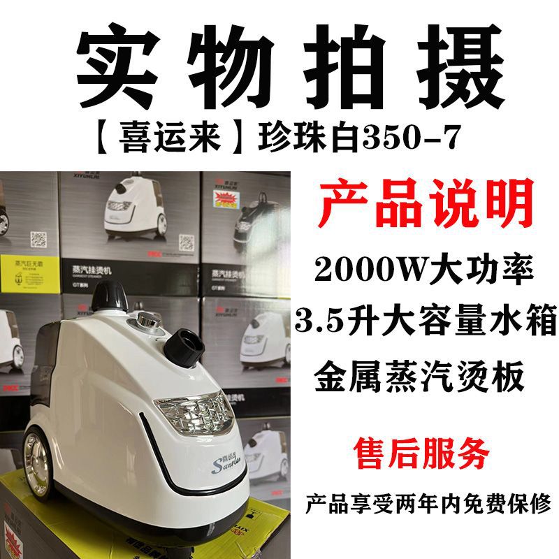 Commercial Large-Capacity Ironing Garment Steamer Iron High-Power Household Steam Machine Clothing Store