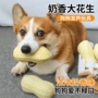 磨牙发声大狗小狗玩具