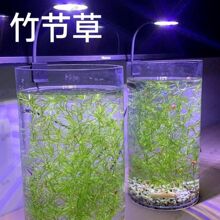 �~���b��쾰���˺��B���ӡ��С�񹝲����ˮ��ֲ���~�r��������