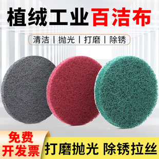 5��ֲ�q�ٝ������I�ÈA����ճ���qƬ�������z���坍��ĥ���P