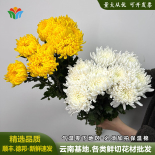 �S�׾ջ��r�����l��ϻ���ֱ�l���S�մ�׾ջ�ˮ�B�����L������